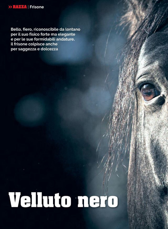 Il Mio Cav (Mag 2022) 3