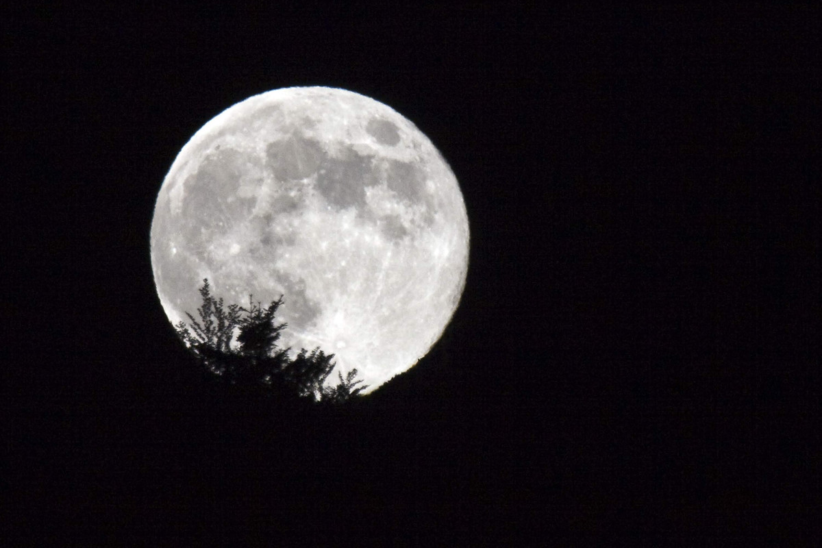 01.12 - _MG_1264 (misia)