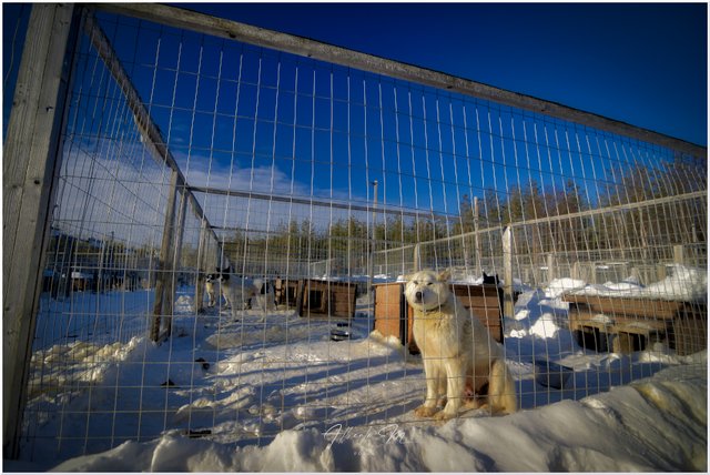 Reportaje por Laponia – Marzo 2023 - Blogs de Finlandia - Parte II (3)