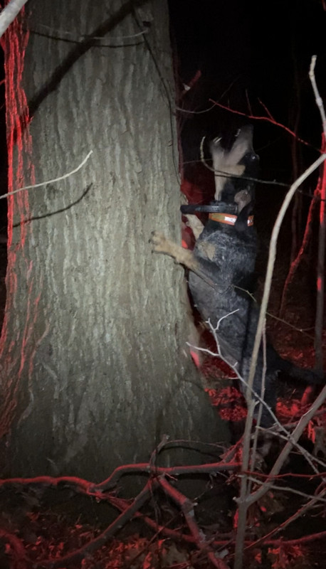 861B2C4B-BC06-4A5E-96CD-861867A726C4