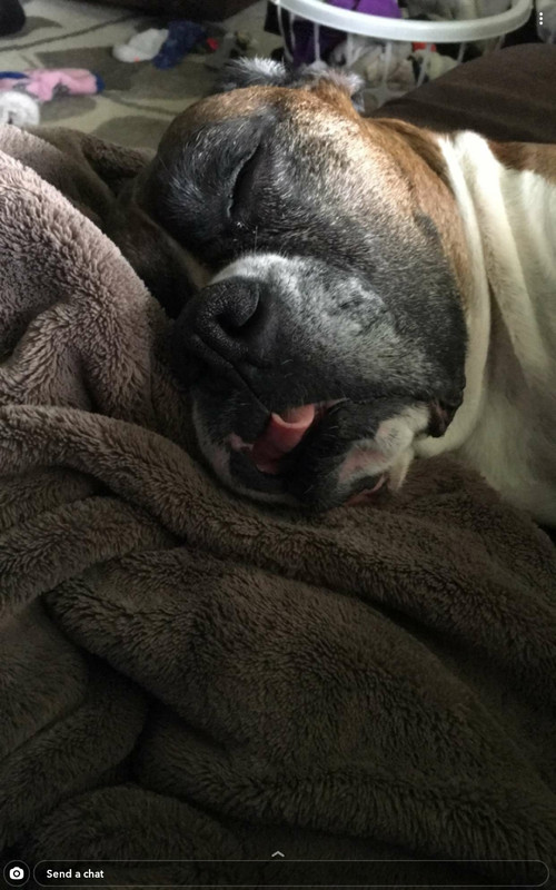 Screenshot_20210410-154203