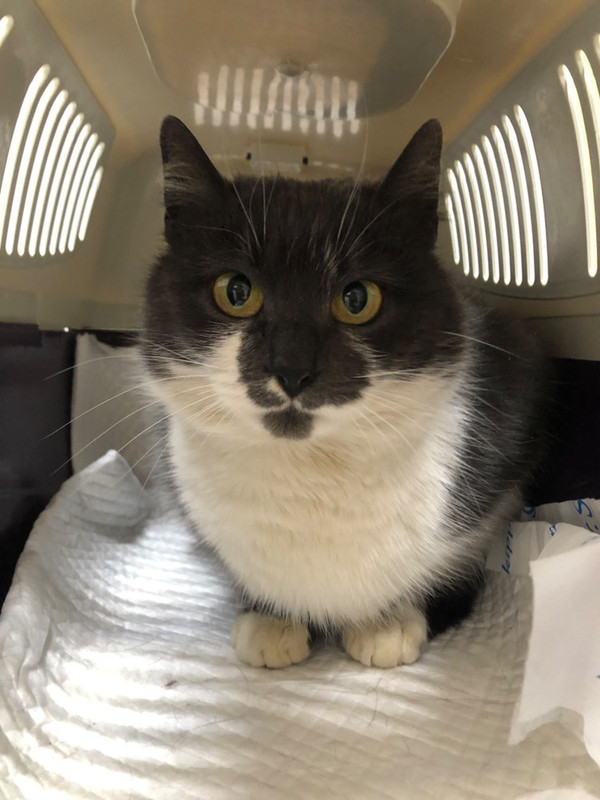 4B5DBF19-06B2-42FE-89AE-56E0F9CD9237