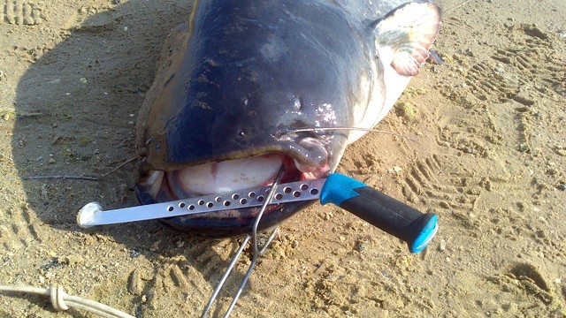 Микл вольф с Волгафишинг 2014.....