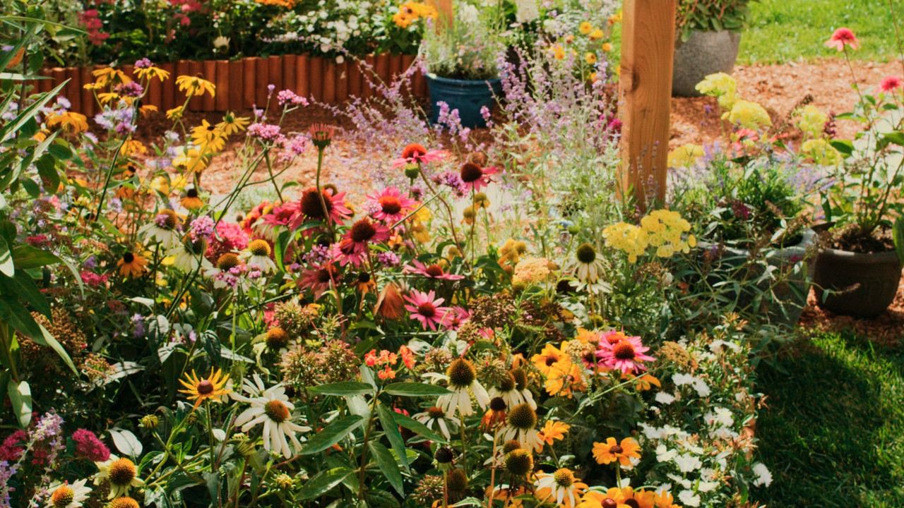 Flight of the Butterflies 2012.mkv_snapshot_20.01_[2018.01.14_06