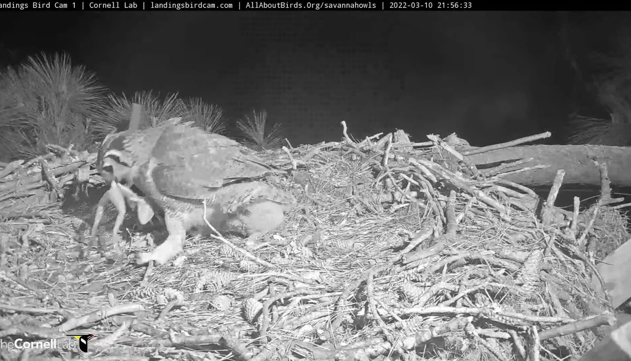 WhatsApp Image 2022-03-13 at 9.19.26 AM (2)