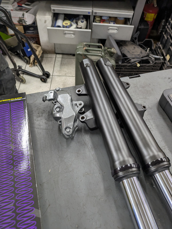 PXL 20260131 113938457