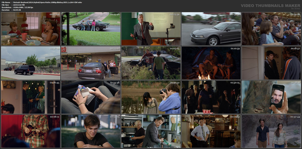 Vietsub-Boyhood-2014-Hybrid-Open-Matte-1080p-Blu-Ray-DD5-1-x264-Eb-P-mkv.jpg