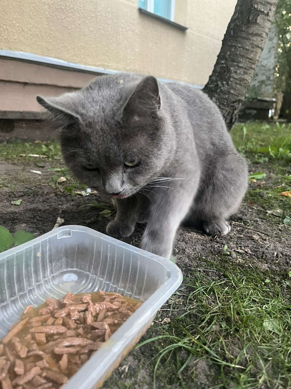 IMG-db127d4df98450c82666a85d12a91e24-V