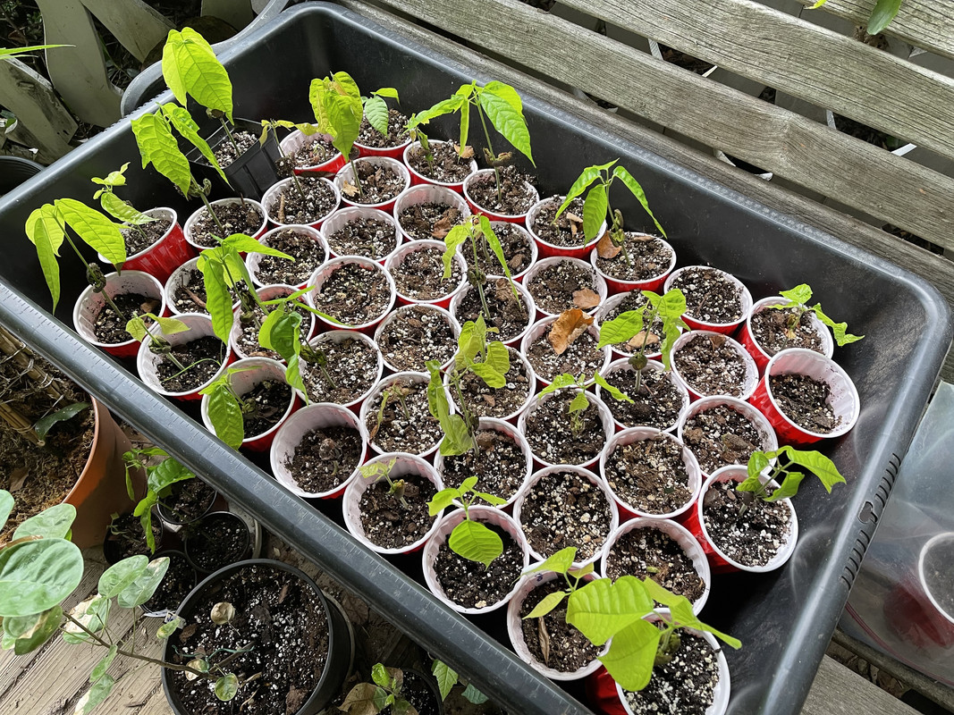 EEE7BD75-132B-4080-A616-E5ED00BE6918