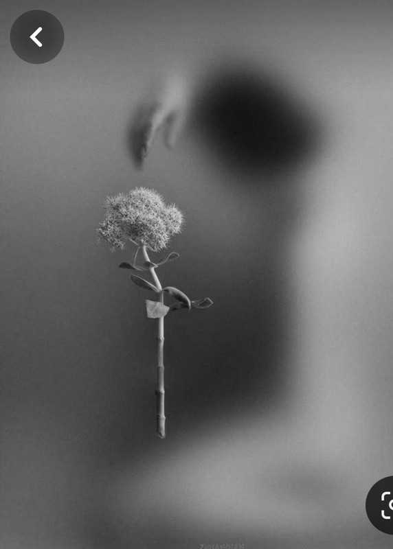 Screenshot_20240330_215842_Pinterest