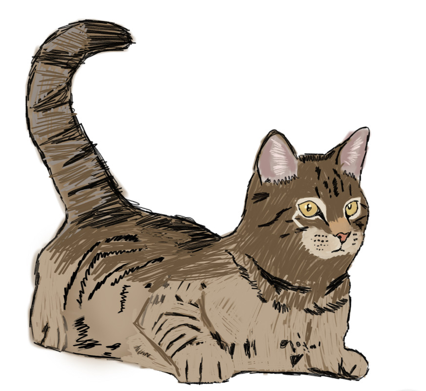 77CD414C-CB47-4596-AC4C-491E7443C5CF