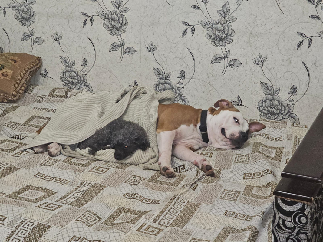 WhatsApp Image 2024-01-20 at 19.47.56 (2)