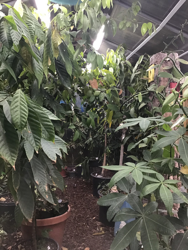 FC077DEA-9A07-4705-9C99-B4C470D0A2FD