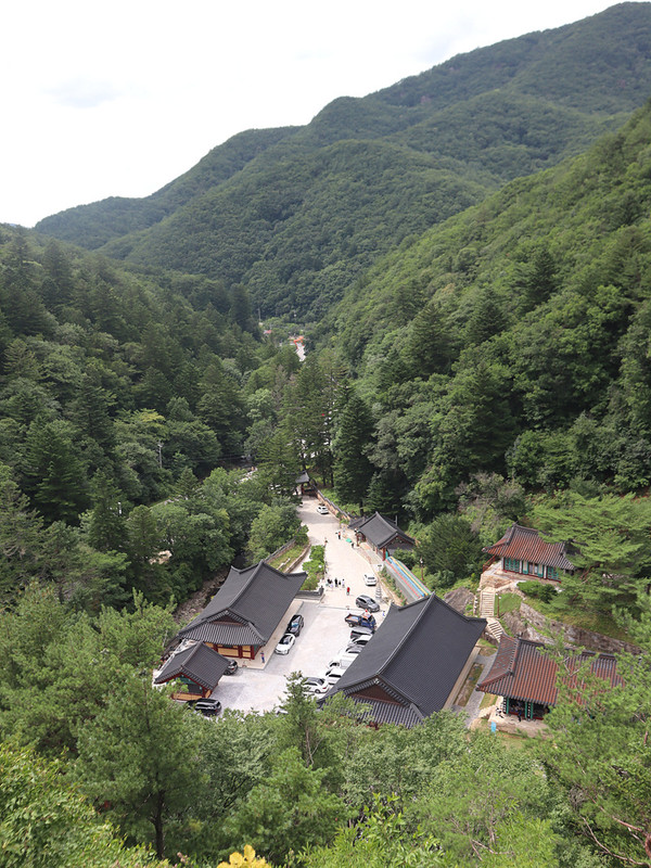 IMG-3235