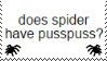does spider have pusspuss