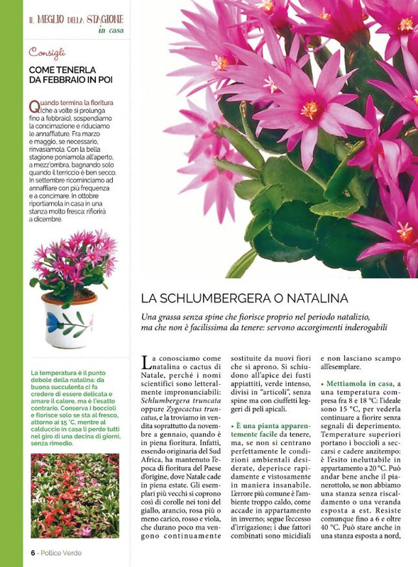 Pol Ver Nov-Dic 2021 (1)