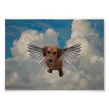 [Image: 18519502-1519160908095402-356824080772762448-n.jpg]