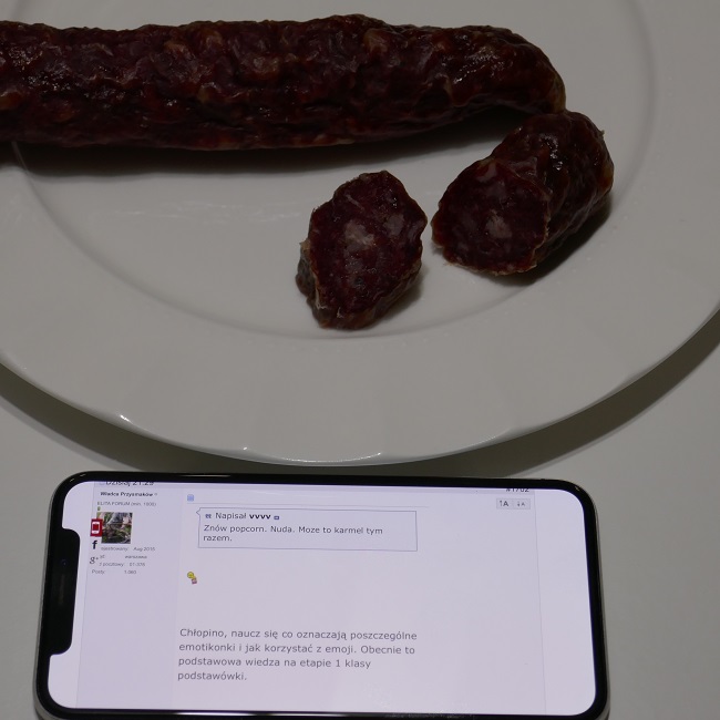 kielbasa-z-sarniny5.jpg