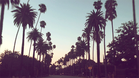 FP Blog Style Beauty Lifestyle Inspiration