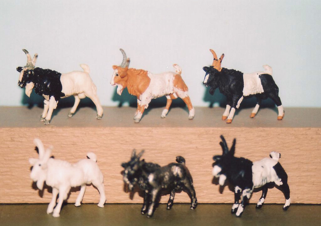 Britains goats Img029-zpsxdizzxkw