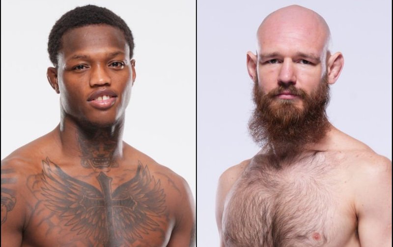 Терънс Маккини срещу Вячеслав Борчев на UFC 317
