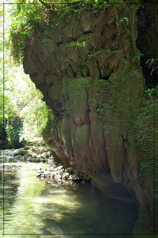 Wairarapa, esa gran desconocida - Escapadas y rutas por la Nueva Zelanda menos conocida (26)