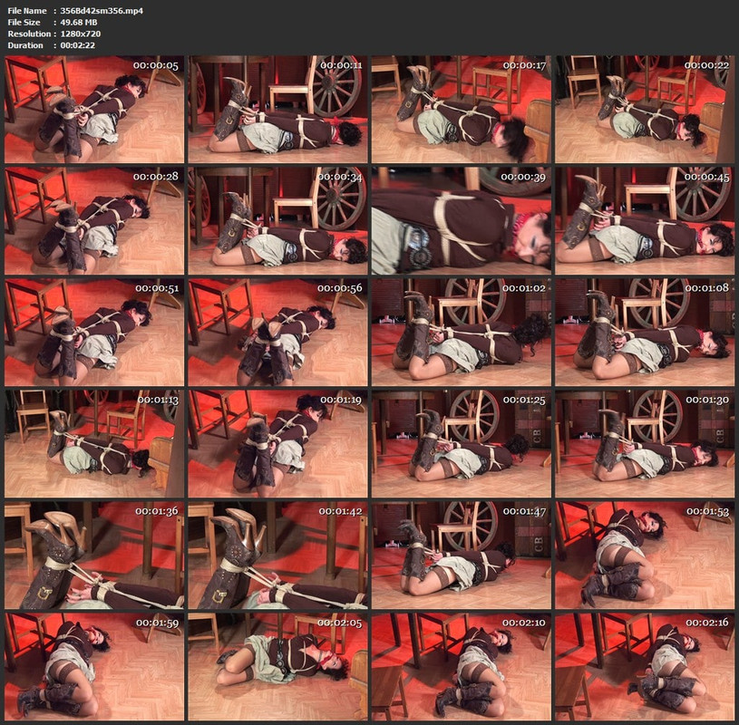 356Bd42sm356.mp4