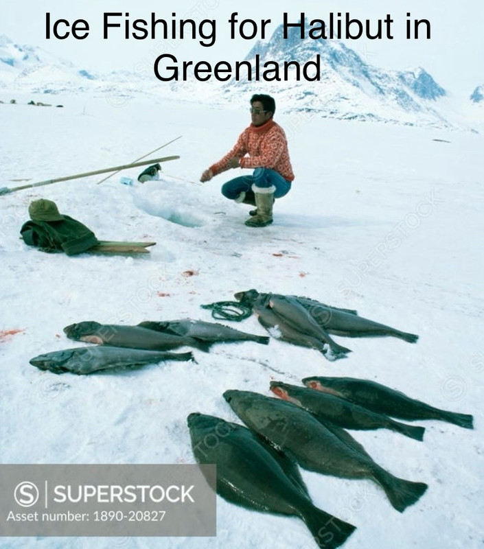 greenland ice fishing Google Search
