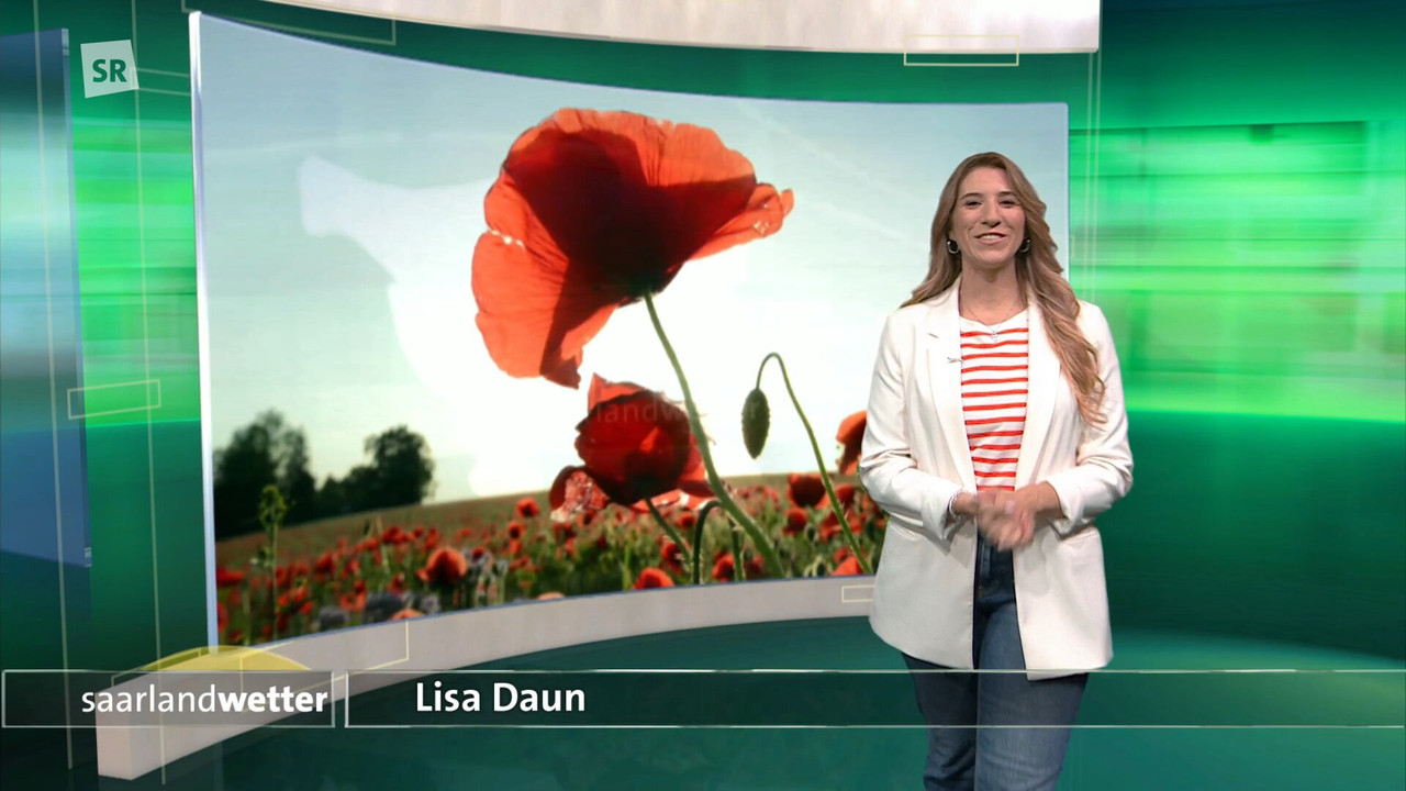 Screenshot (148125)