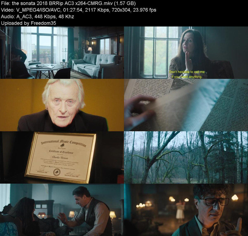the-sonata-2018-BRRip-AC3-x264-CMRG.jpg