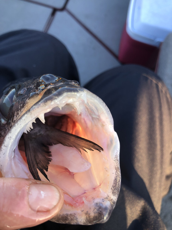 73DDC40E-B87A-48D7-AB66-F20D35C8B58E