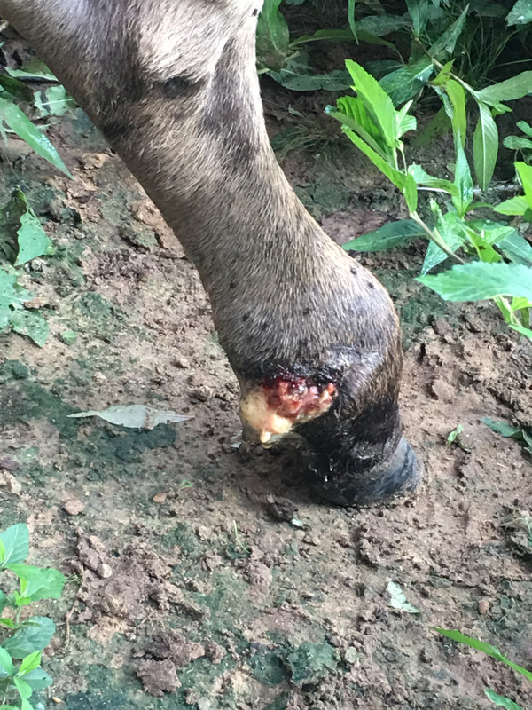 89F61857-B7FD-475B-9DC7-E26139AA38CF