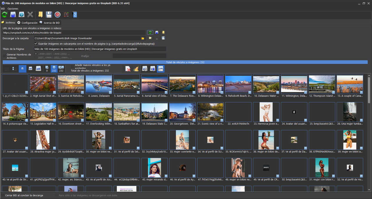 Bulk Image Downloader v6.35.0 [Descargar todas las imágenes de un página WEB y hasta videos] 01-12-2023-12-48-27