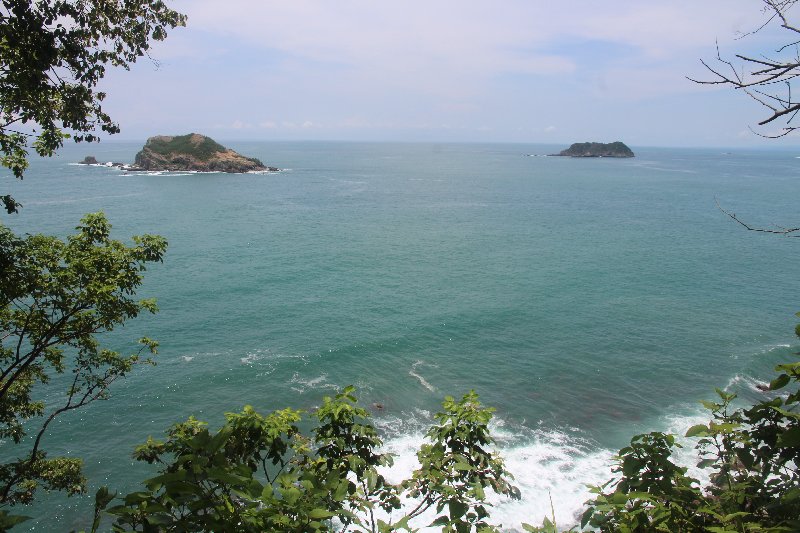 DE TORTUGAS Y PEREZOSOS. COSTA RICA 2019 - Blogs de Costa Rica - DIA 14: PARQUE DE MANUEL ANTONIO (31)