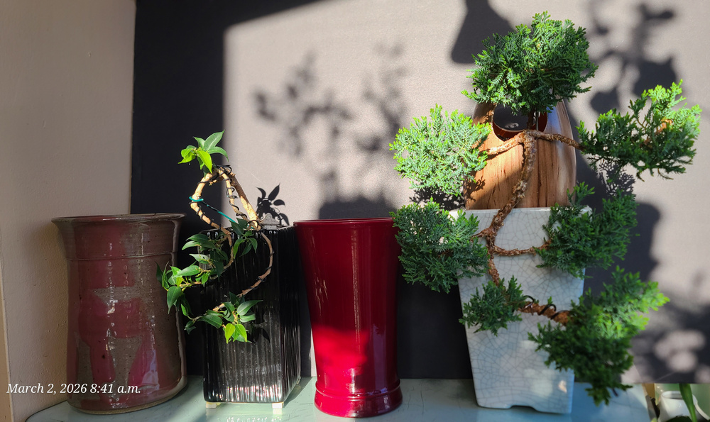 [Image: 20260302-084132.jpg]