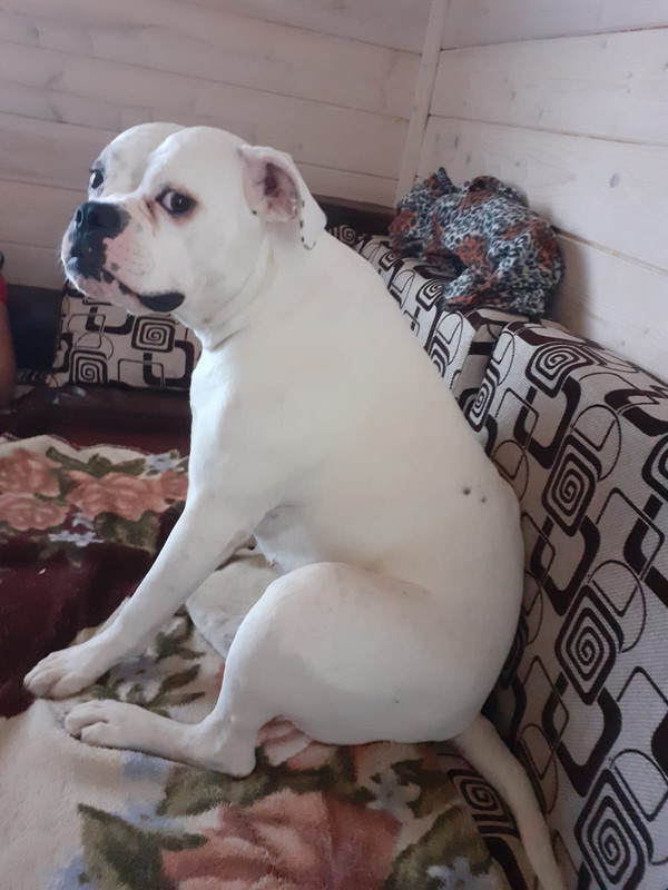 A863EBBE-6357-47B4-AA7E-32C432D4E24E