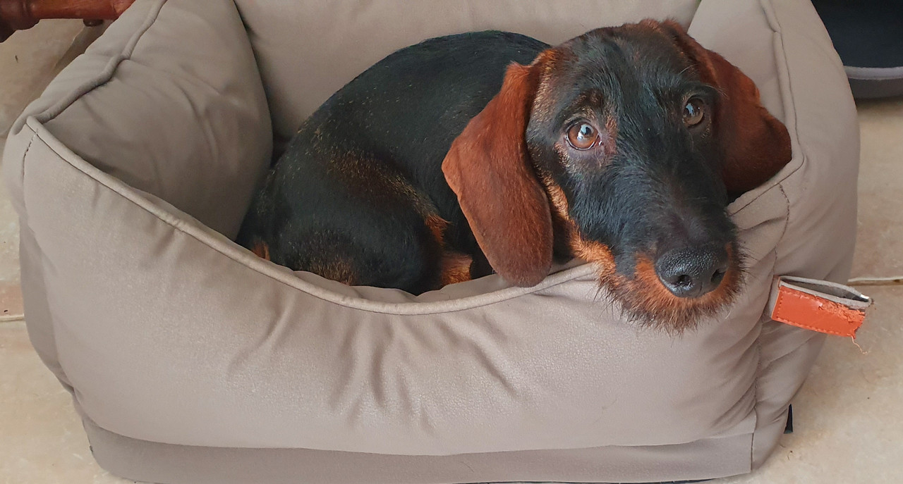 [Image: 20221125-131136.jpg]