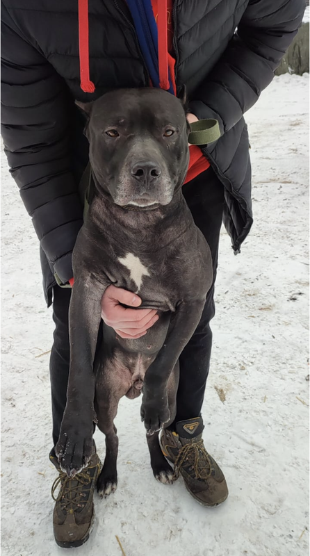 Снимок экрана 2025-02-20 в 18.33.55