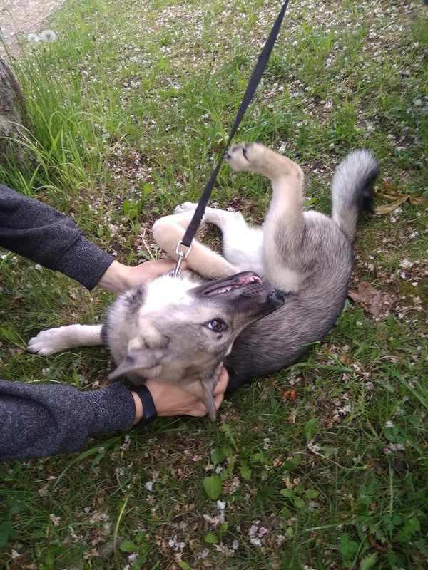 Дженни_05_18_3