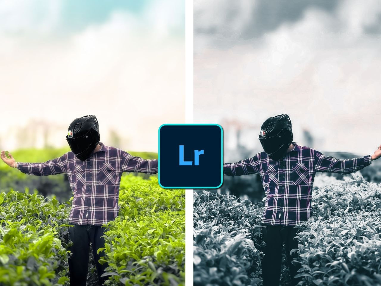 LR WHITE PRESET