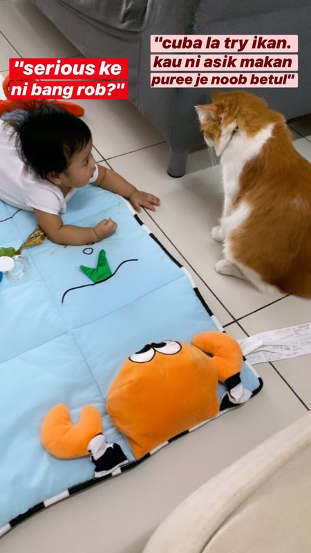 Kucing berikan ikan kepada Johan