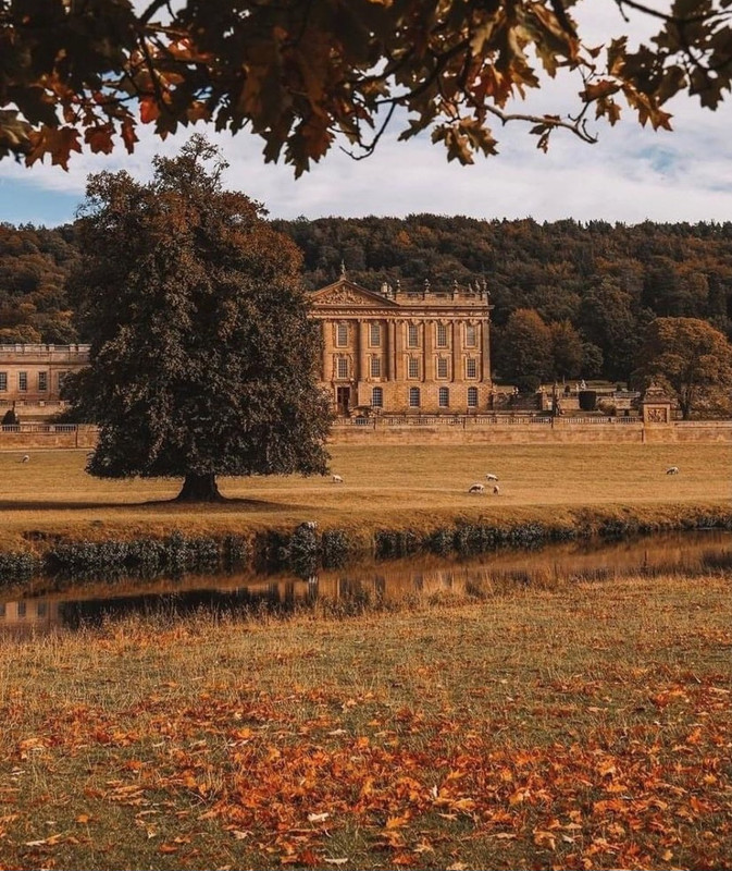 Screenshot_20231208_212557_Instagram