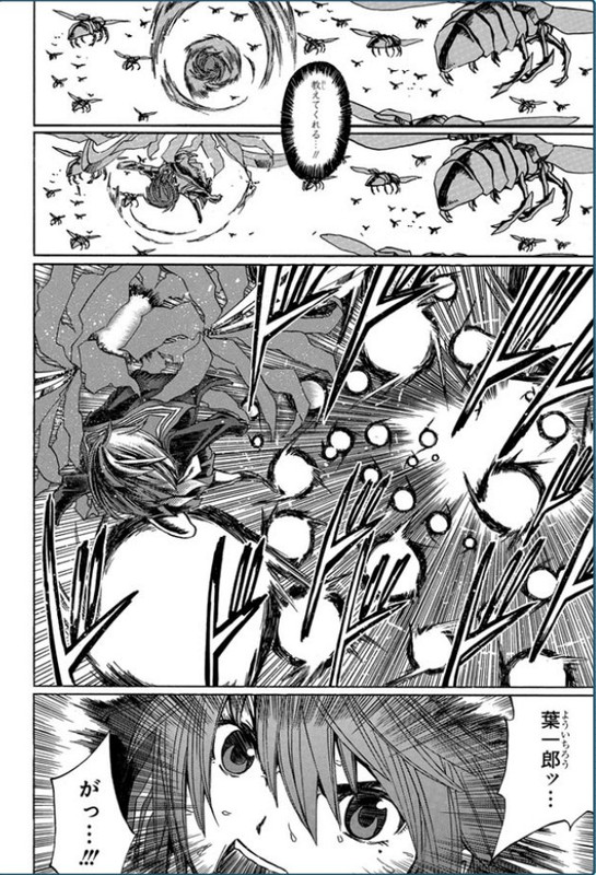 36