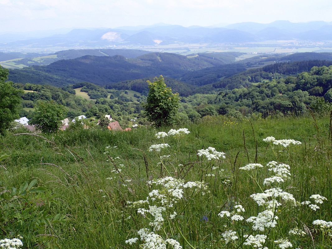 2019_0609G_STRAŻOWSKIE0116