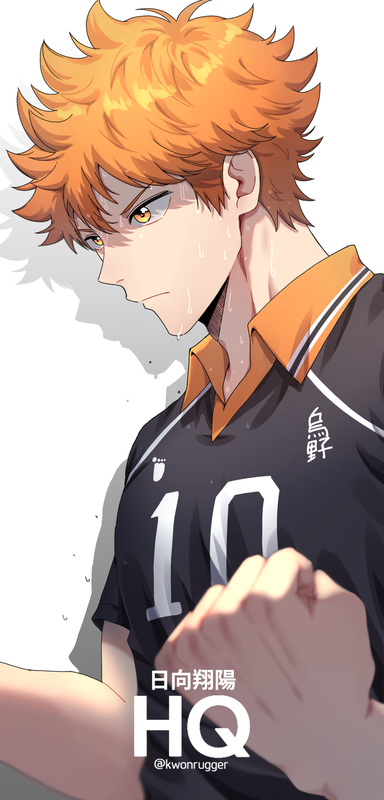 Hinata Shouyou by Eh-gaby on DeviantArt