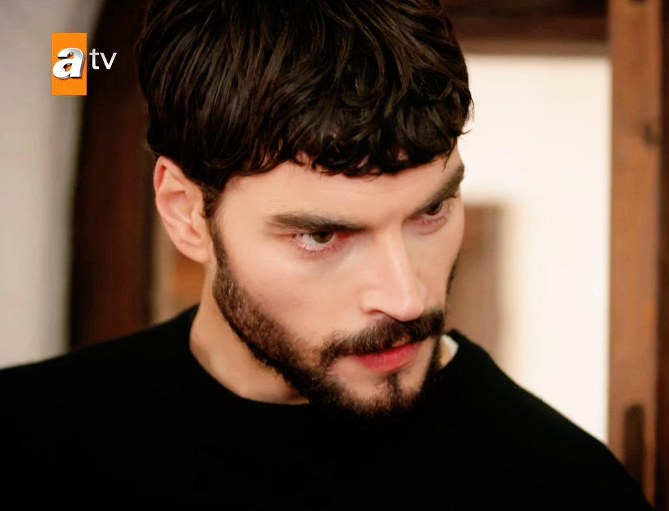 Hercai / თავქარიანი 14