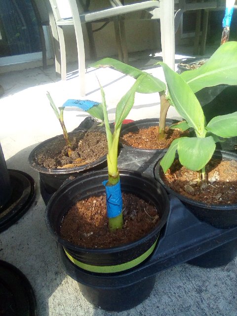 IMG_20200213_151957 (1)