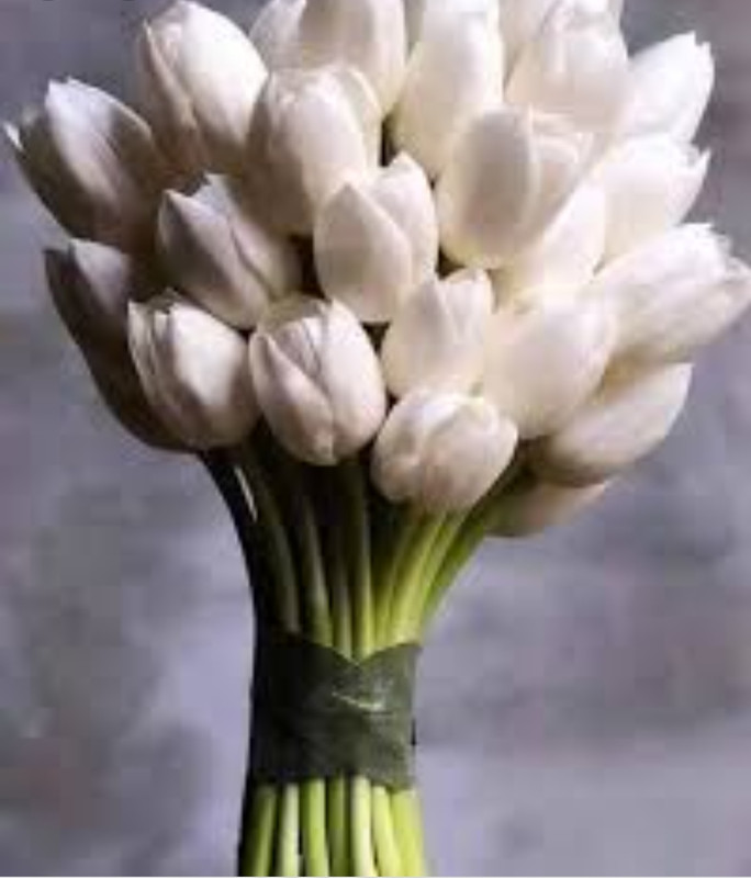 IMG_٢٠٢١٠٦١٧_١٥٠٥٤٦