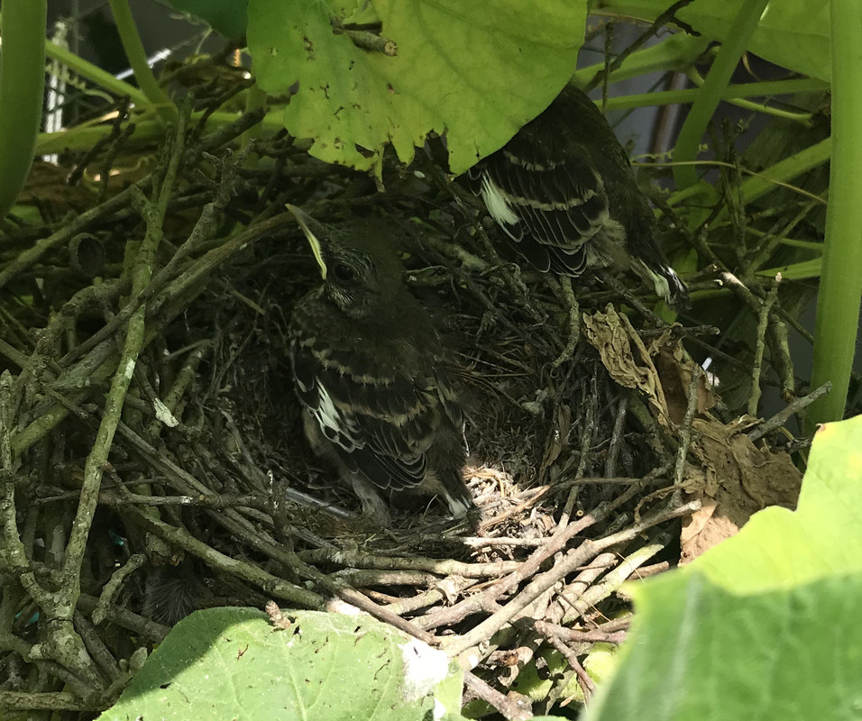 72E7A8B1-43C0-4226-924E-01C560A18036