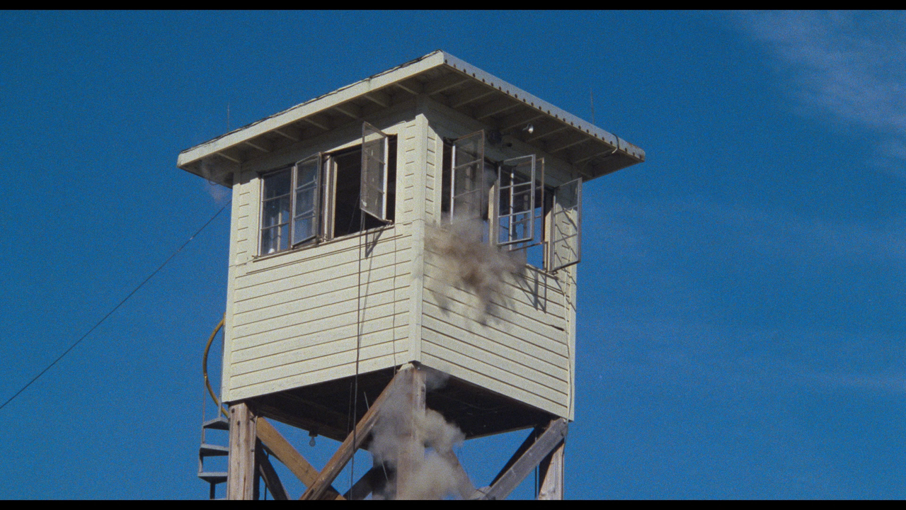 vlcsnap-2024-02-21-19h33m37s147